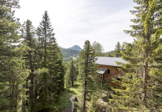 Huis in Turrach - Vakantiehuis # 43 met sauna en indoor whirlpool Huis in Turrach - Vakantiehuis # 43 met sauna en indoor whirlpool