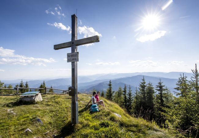 Chalet in Murau - Superior vakantiehuis # 19 met IR-sauna & whirlpool Chalet in Murau - Superior vakantiehuis # 19 met IR-sauna & whirlpool