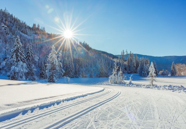 Chalet in Murau - Superior vakantiehuis # 23 met IR-sauna & whirlpool Chalet in Murau - Superior vakantiehuis # 23 met IR-sauna & whirlpool