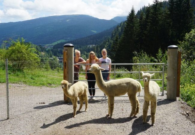 Appartement in St. Georgen am Kreischberg - Appartement #4 met 2 slaapkamers for up to 7 people Appartement in St. Georgen am Kreischberg - Appartement #4 met 2 slaapkamers for up to 7 people