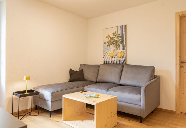 Appartement in Eisenerz - Superior Apartment with IR-Sauna incl. Breakfast Appartement in Eisenerz - Superior Apartment with IR-Sauna incl. Breakfast