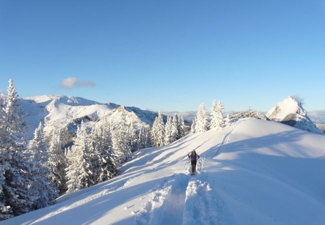 Appartement in Eisenerz - Superior Apartment with IR-Sauna Appartement in Eisenerz - Superior Apartment with IR-Sauna