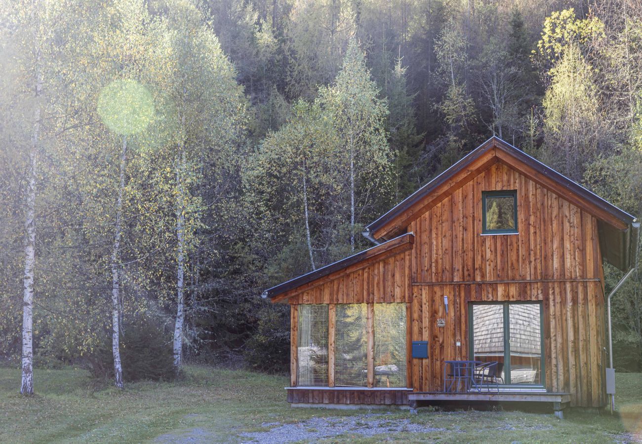 Chalet in Stadl an der Mur - Vakantiehuis # 142 met 2 slaapkamers voor 6 personen Chalet in Stadl an der Mur - Vakantiehuis # 142 met 2 slaapkamers voor 6 personen