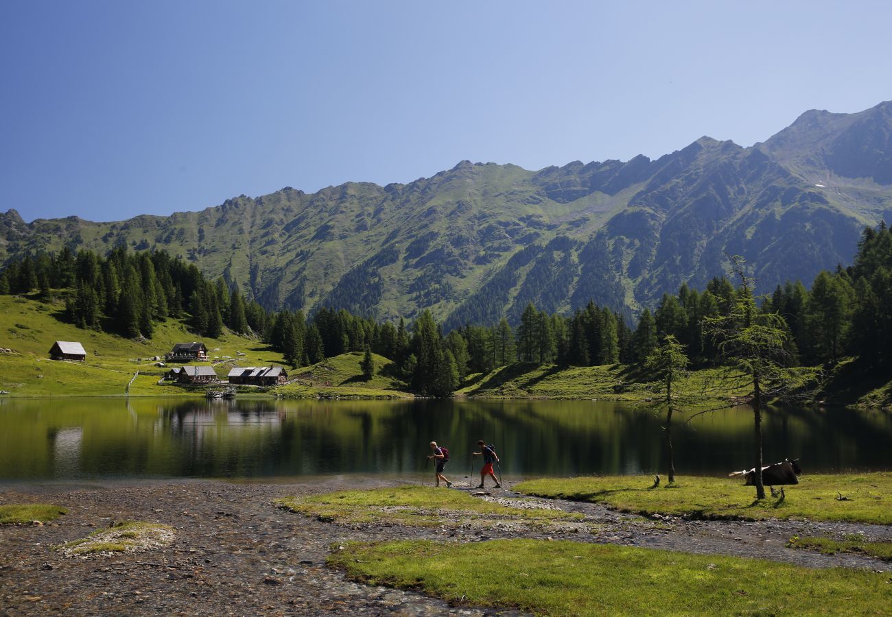 Appartement in Rohrmoos-Untertal - appartement met 2 slaapkamers, dakterras & wellnesscentrum Appartement in Rohrmoos-Untertal - appartement met 2 slaapkamers, dakterras & wellnesscentrum