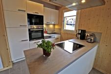 Chalet in Hohentauern - Superior Ferienhaus # 57 mit IR-Sauna & Whirlwanne