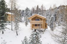 Ferienhaus in Turrach - Superior Chalet mit Whirlpoolwanne innen