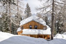 Ferienhaus in Turrach - Ferienhaus # 10 mit Sauna und Whirlpool innen