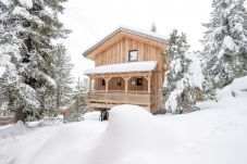 Ferienhaus in Turrach - Ferienhaus # 33 mit IR-Sauna und Whirlpool innen