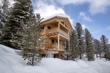 Ferienhaus in Turrach - Ferienhaus # 31 mit IR-Sauna und Whirlpool innen