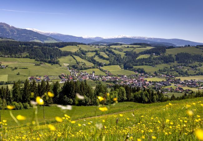 Ferienwohnung in St. Georgen am Kreischberg - Studio  Ferienwohnung in St. Georgen am Kreischberg - Studio