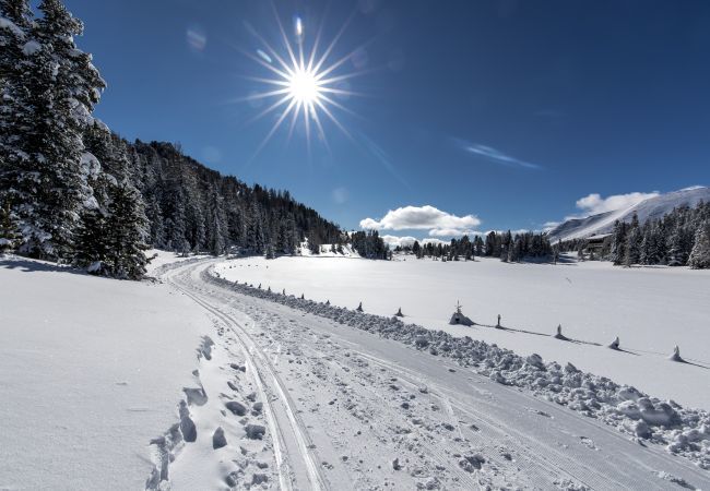 Chalet in Murau - Ferienhaus # 22 mit 4 Schlafzimmern & IR-Sauna Chalet in Murau - Ferienhaus # 22 mit 4 Schlafzimmern & IR-Sauna