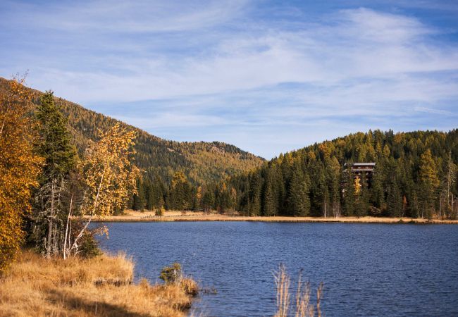 Ferienhaus in St. Georgen am Kreischberg - Chalet # 7 mit 3 Schlafzimmern & IR-Sauna Ferienhaus in St. Georgen am Kreischberg - Chalet # 7 mit 3 Schlafzimmern & IR-Sauna