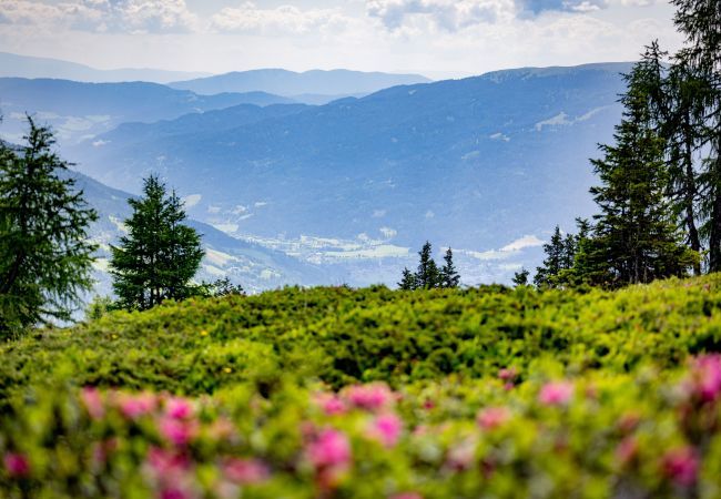 Ferienwohnung in St. Georgen am Kreischberg - Ferienwohnung mit 2 Schlafzimmern  Ferienwohnung in St. Georgen am Kreischberg - Ferienwohnung mit 2 Schlafzimmern