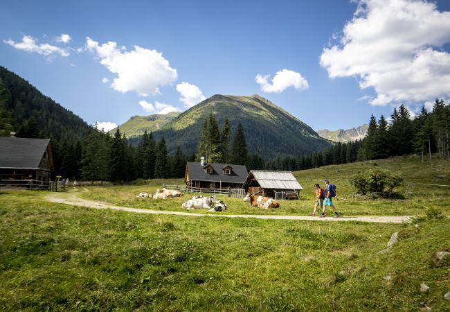 Chalet in St. Georgen ob Murau - Ferienhaus # 16 mit 2 Schlafzimmern für 6 Personen  Chalet in St. Georgen ob Murau - Ferienhaus # 16 mit 2 Schlafzimmern für 6 Personen