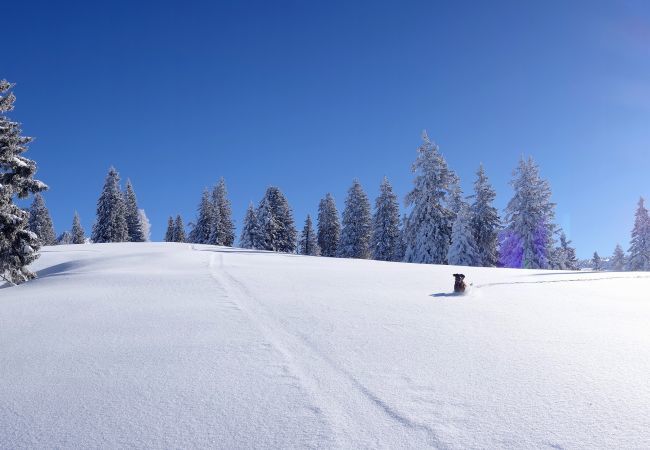 Ferienhaus in Eisenerz - Superior Ferienhaus mit Sauna  Ferienhaus in Eisenerz - Superior Ferienhaus mit Sauna