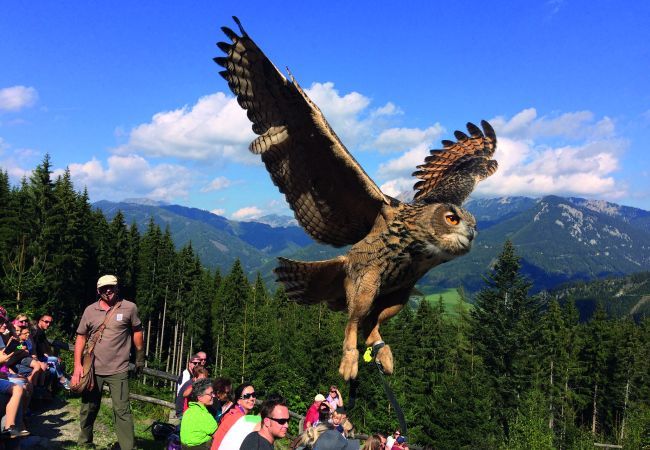 Ferienhaus in Eisenerz - Superior Ferienhaus mit Sauna  Ferienhaus in Eisenerz - Superior Ferienhaus mit Sauna