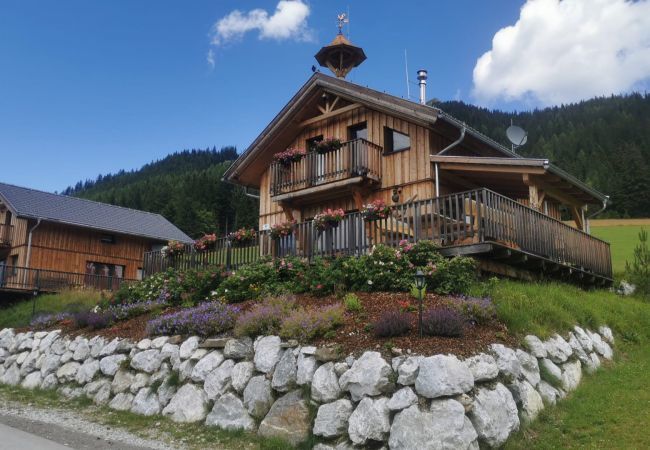 Ferienhaus in Hohentauern - Premium Ferienhaus # 58 mit Sauna & Whirlpool Ferienhaus in Hohentauern - Premium Ferienhaus # 58 mit Sauna & Whirlpool