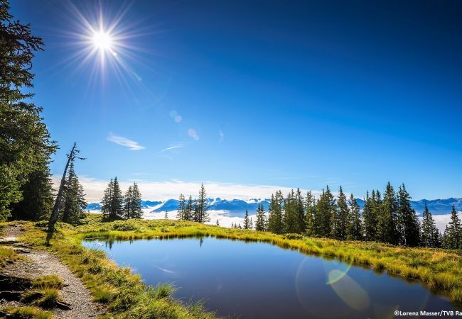 Ferienwohnung in Radstadt - Superior Ferienwohnung & Sommer Pool Ferienwohnung in Radstadt - Superior Ferienwohnung & Sommer Pool