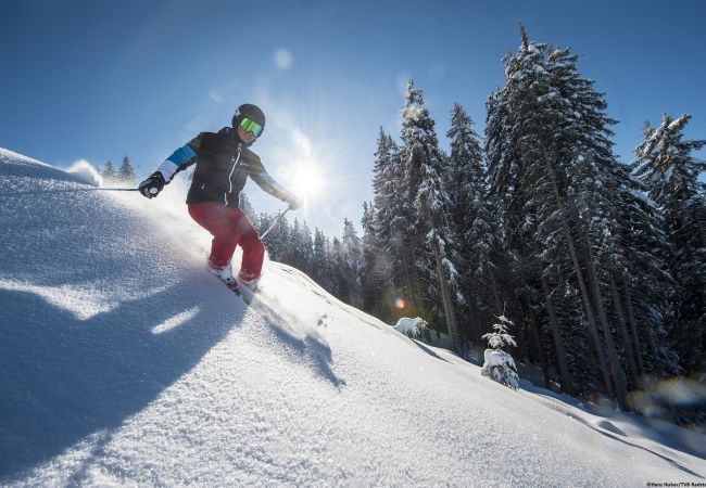 Ferienwohnung in Radstadt - Superior Ferienwohnung & Sommer Pool Ferienwohnung in Radstadt - Superior Ferienwohnung & Sommer Pool