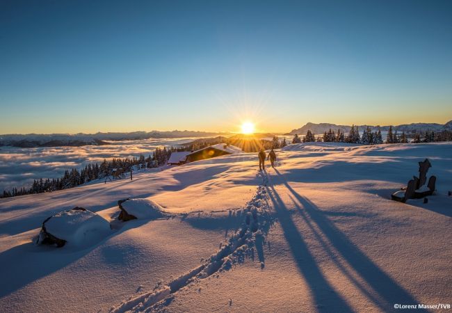 Ferienwohnung in Radstadt - Superior Ferienwohnung & Sommer Pool Ferienwohnung in Radstadt - Superior Ferienwohnung & Sommer Pool