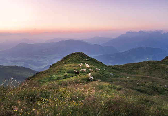 Ferienwohnung in Reith bei Kitzbühel - Ferienwohnung mit 2 Schlafzimmern für 6 Personen Ferienwohnung in Reith bei Kitzbühel - Ferienwohnung mit 2 Schlafzimmern für 6 Personen