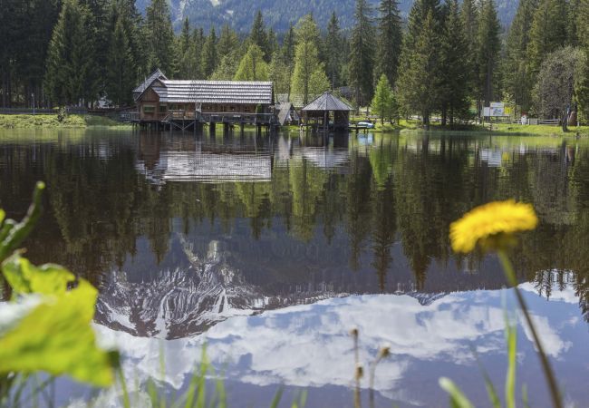 Ferienhaus in Hohentauern - Premium Ferienhaus # 56 mit IR-Sauna & Whirlpool Ferienhaus in Hohentauern - Premium Ferienhaus # 56 mit IR-Sauna & Whirlpool