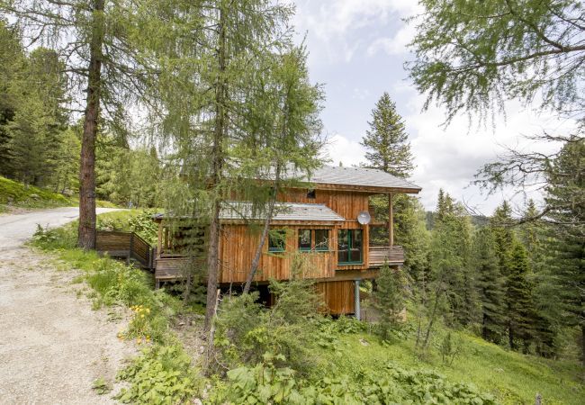 Ferienhaus in Turrach - Ferienhaus # 10 mit Sauna und Whirlpool innen Ferienhaus in Turrach - Ferienhaus # 10 mit Sauna und Whirlpool innen