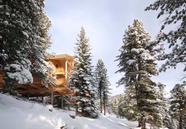 Ferienhaus in Turrach - Ferienhaus # 32 mit IR-Sauna, Dampfdusche und Whirlpool innen Ferienhaus in Turrach - Ferienhaus # 32 mit IR-Sauna, Dampfdusche und Whirlpool innen