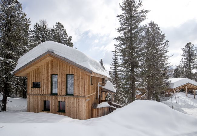 Ferienhaus in Turrach - Ferienhaus # 42 mit Sauna und Whirlwanne Ferienhaus in Turrach - Ferienhaus # 42 mit Sauna und Whirlwanne