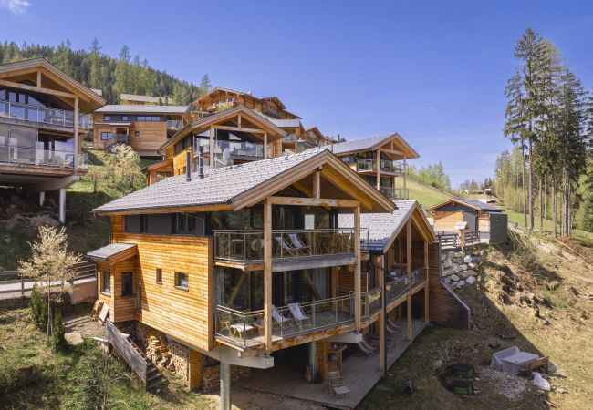 Chalet in Pichl bei Schladming - Premium Chalet # 13 mit Sauna & Swim Spa Chalet in Pichl bei Schladming - Premium Chalet # 13 mit Sauna & Swim Spa