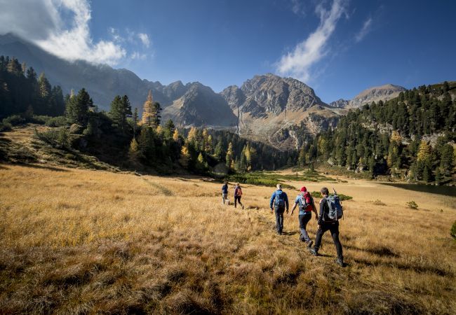 Chalet in Murau - Premium Ferienhaus # 14 mit Sauna & Whirlpool Chalet in Murau - Premium Ferienhaus # 14 mit Sauna & Whirlpool