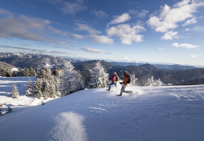 Chalet in Murau - Premium Ferienhaus # 14 mit Sauna & Whirlpool Chalet in Murau - Premium Ferienhaus # 14 mit Sauna & Whirlpool