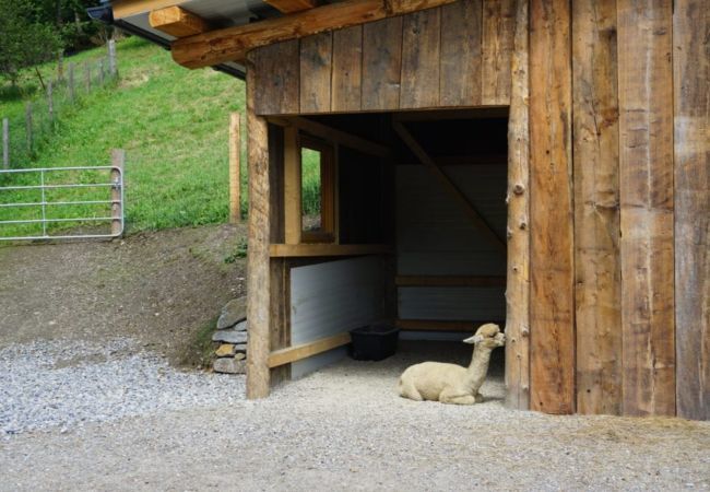 Ferienwohnung in St. Georgen am Kreischberg - Ferienwohnung #1 mit 2 Schlafzimmern für bis zu 6 Personen Ferienwohnung in St. Georgen am Kreischberg - Ferienwohnung #1 mit 2 Schlafzimmern für bis zu 6 Personen
