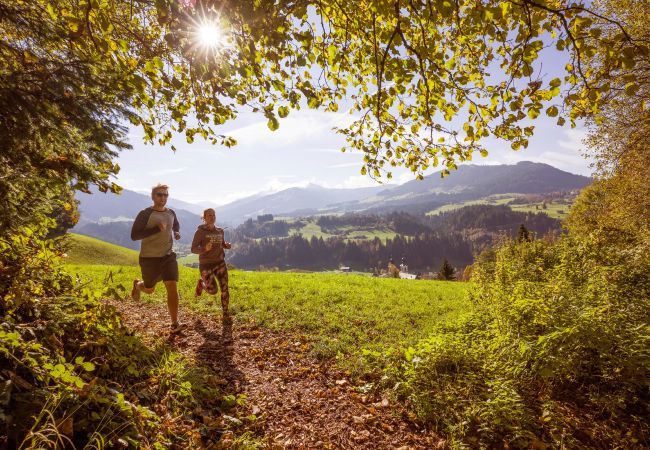 Ferienwohnung in Hopfgarten - Premium Ferienwohnung mit 1 Schlafzimmer für 2-5 Personen Ferienwohnung in Hopfgarten - Premium Ferienwohnung mit 1 Schlafzimmer für 2-5 Personen