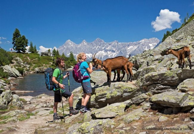 Ferienwohnung in Rohrmoos-Untertal - Premium Ferienwohnung mit 1 Schlafzimmer und Saunabereich Ferienwohnung in Rohrmoos-Untertal - Premium Ferienwohnung mit 1 Schlafzimmer und Saunabereich