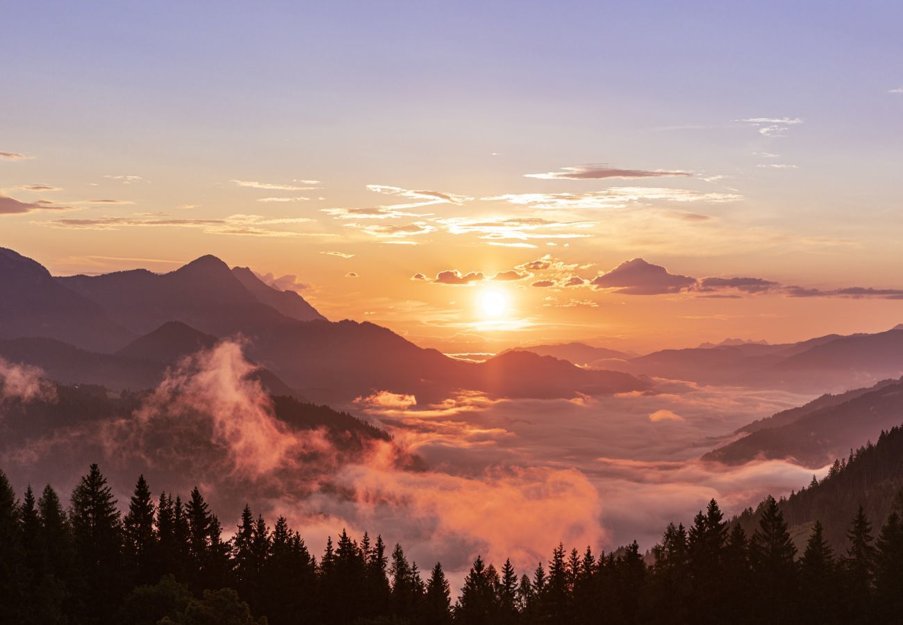 Chalet in Pichl bei Schladming - Premium Chalet # 01 mit IR-Sauna & Whirlpool außen Chalet in Pichl bei Schladming - Premium Chalet # 01 mit IR-Sauna & Whirlpool außen