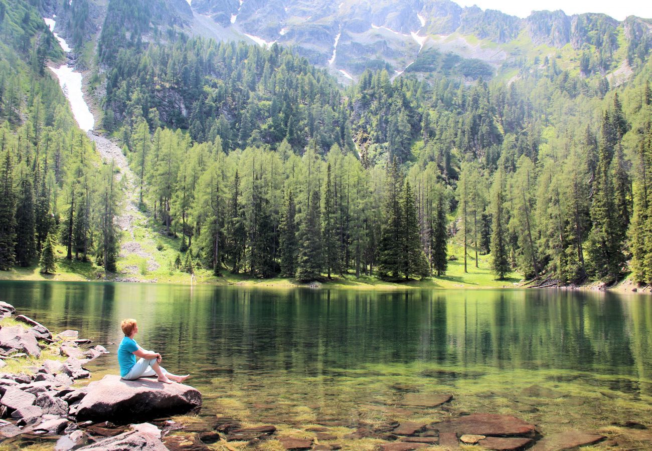 Ferienhaus in Hohentauern - Premium Ferienhaus # 62 mit Sauna & Whirlpool Ferienhaus in Hohentauern - Premium Ferienhaus # 62 mit Sauna & Whirlpool