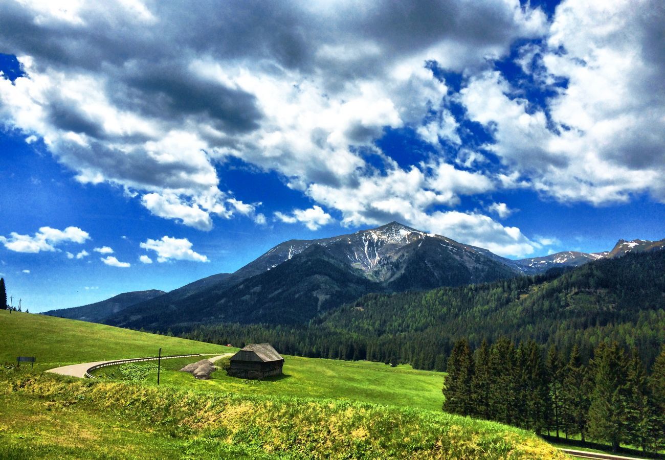 Chalet in Hohentauern - Premium Ferienhaus # 47 mit Sauna & Whirlpool Chalet in Hohentauern - Premium Ferienhaus # 47 mit Sauna & Whirlpool