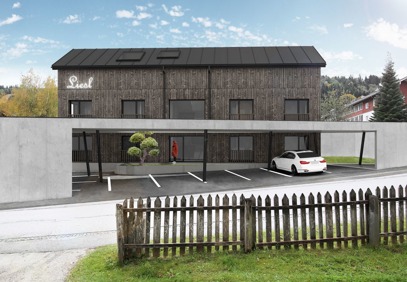 Ferienwohnung in Haus im Ennstal - Premium Penthouse mit Sauna Ferienwohnung in Haus im Ennstal - Premium Penthouse mit Sauna