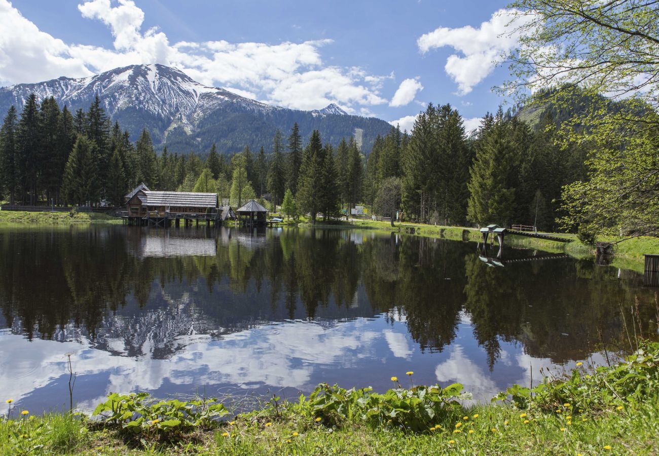 Ferienhaus in Hohentauern - Superior Ferienhaus # 48 mit IR-Sauna Ferienhaus in Hohentauern - Superior Ferienhaus # 48 mit IR-Sauna