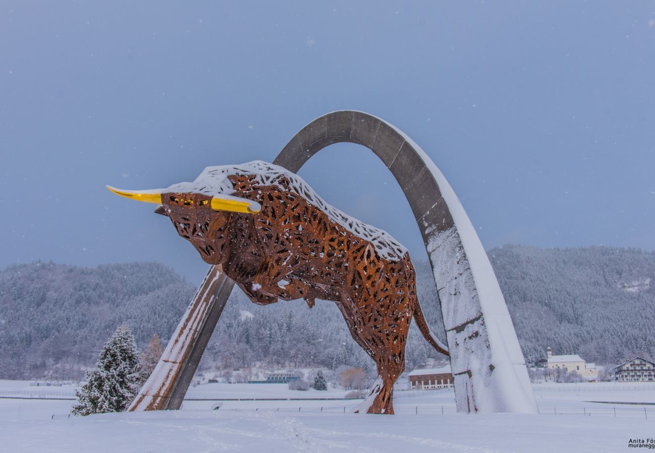 Ferienhaus in Hohentauern - Superior Ferienhaus # 48 mit IR-Sauna Ferienhaus in Hohentauern - Superior Ferienhaus # 48 mit IR-Sauna