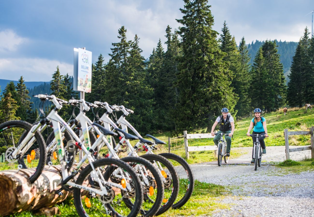 Ferienhaus in Hohentauern - Superior Ferienhaus # 48 mit IR-Sauna Ferienhaus in Hohentauern - Superior Ferienhaus # 48 mit IR-Sauna